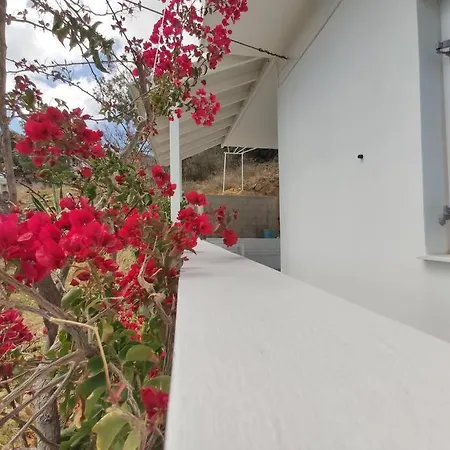 Village View House *