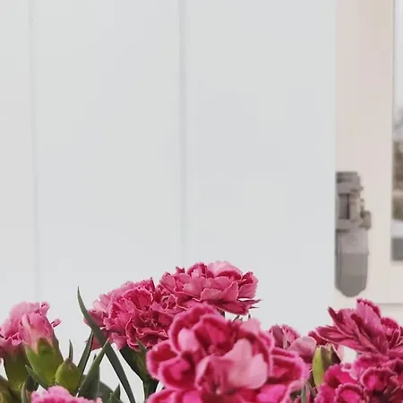 Village View House *