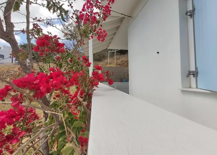 Village View House *