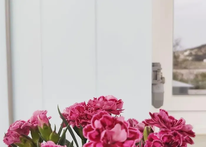 Village View House *